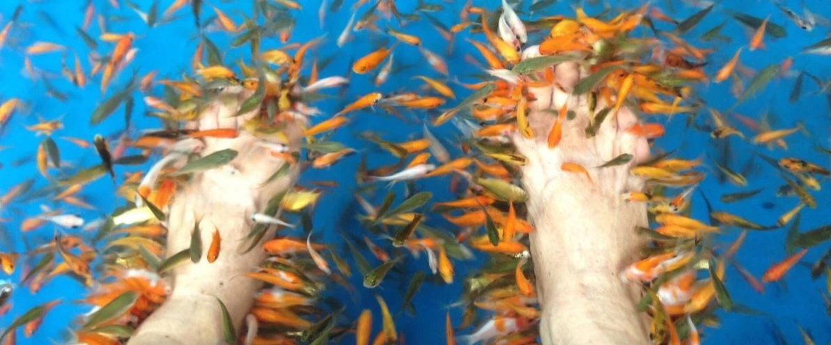 Fish Spa in Bentota