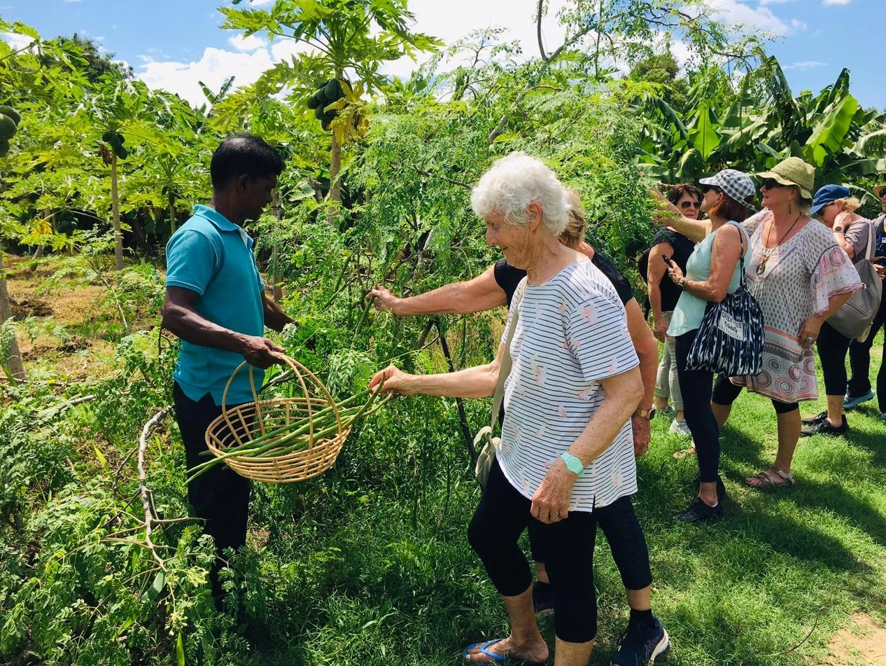 Farm Tour
