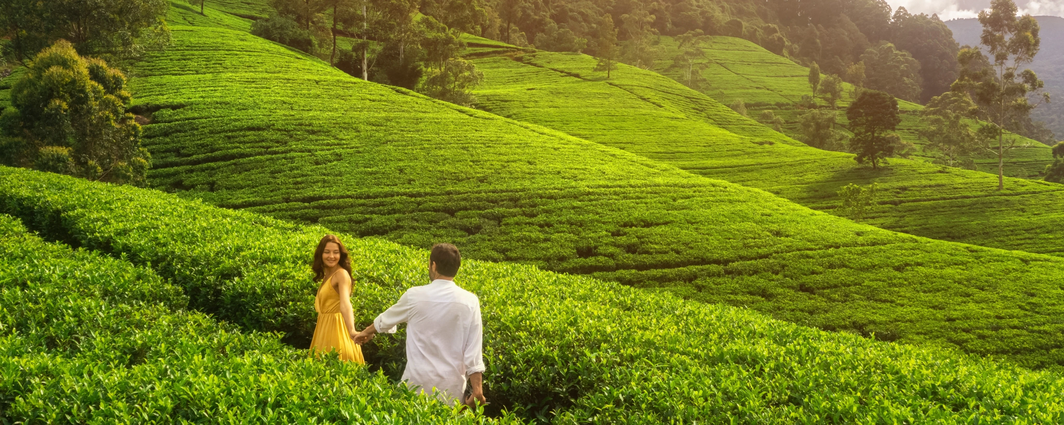 Honeymoon in Sri Lanka